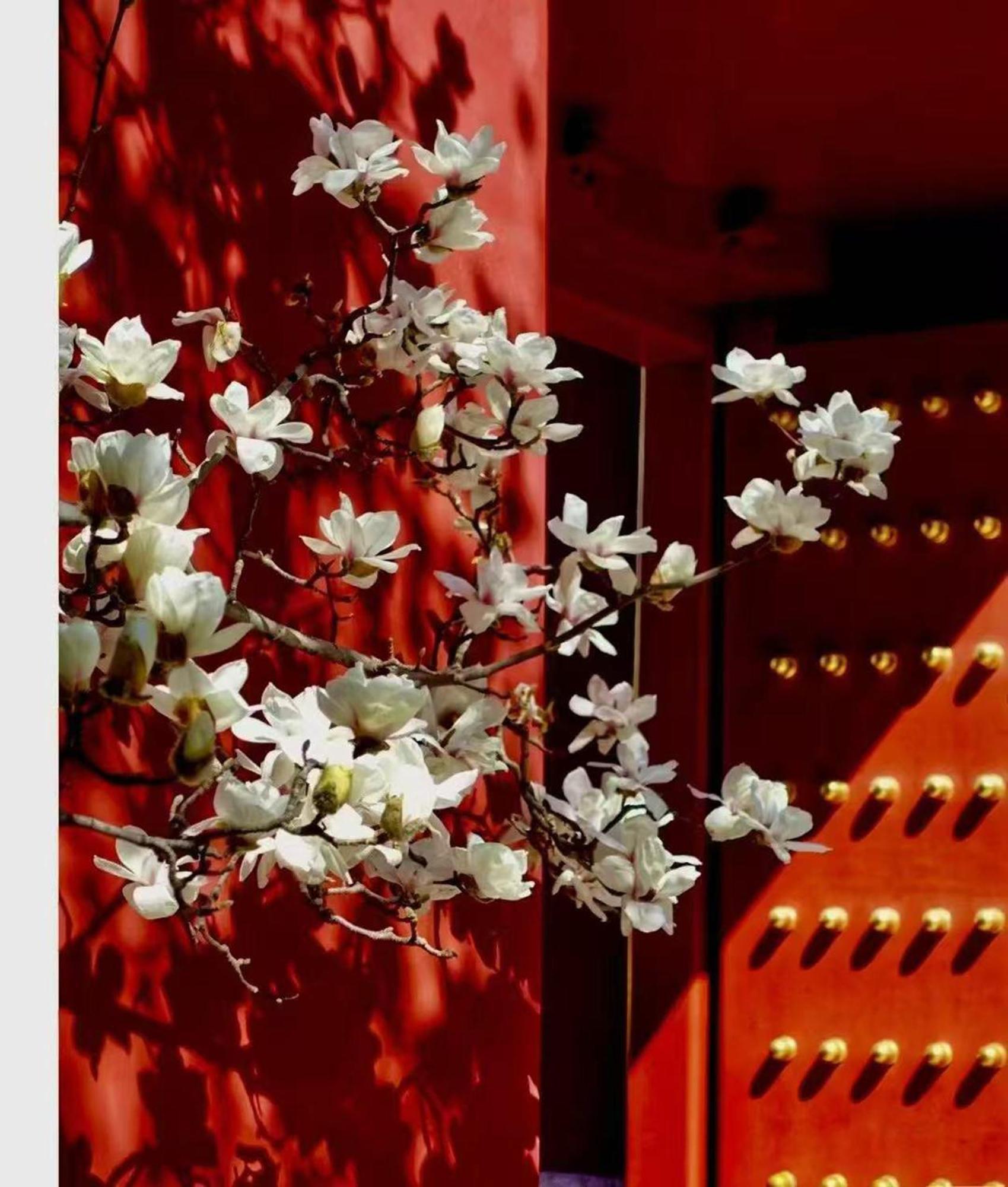 Hotel Cote Cour Deductive Beijing - Quadrangle Close To Tiananmen Square & Forbidden City & Nanluoguxiang, Walk To Wangfujing, English Speaking, Free Wifi, Free Laundry, Free Wonton & Noodles With Tour Ticket Service, Free Selfies With Ancient Costum Экстерьер фото